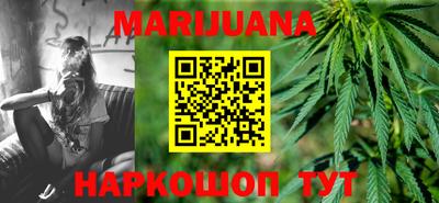 сатива Камышлов