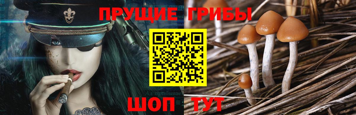Псилоцибиновые грибы ЛСД Луховицы